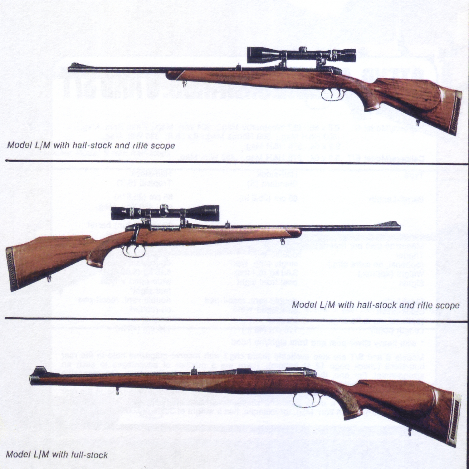 The Mannlicher-Schönauer M72 Model L/M stock style options. (Picture from the original Steyr catalog and courtesy of Steyr.)