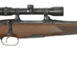 .318 Westley Richards Magazine Rifle