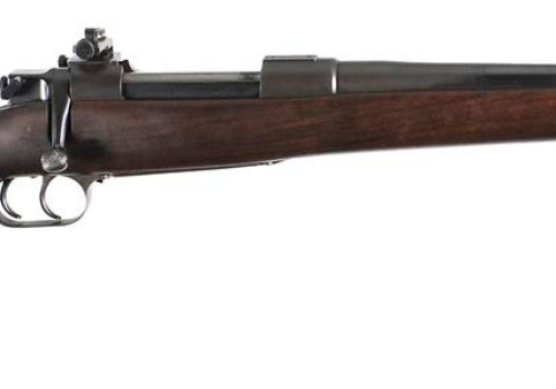 Newton Rifle in .256 Newton