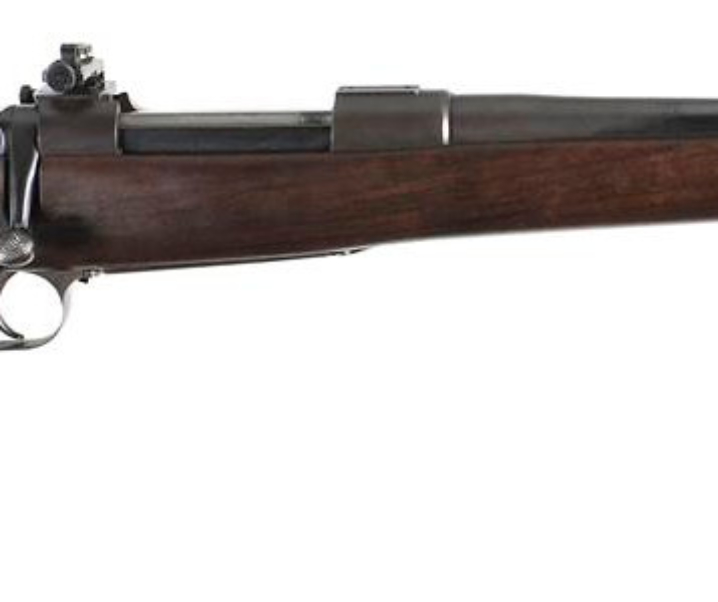 Newton Rifle in .256 Newton