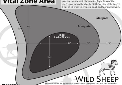 Free Vital Zone Targets from Berger Bullets