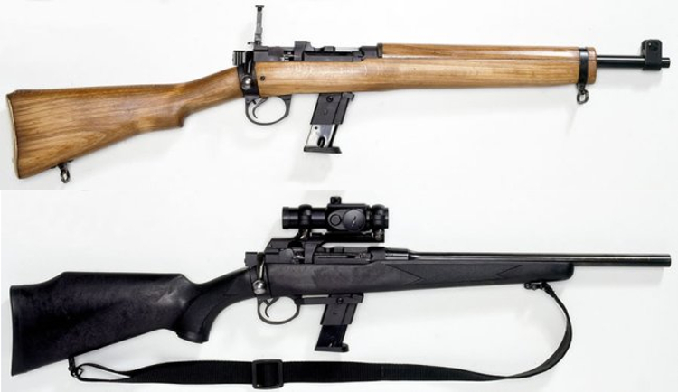 Armalon-Sarony PC Gallery rifles top with wood stock and open sights and lower with synthetic stock and optical sights.