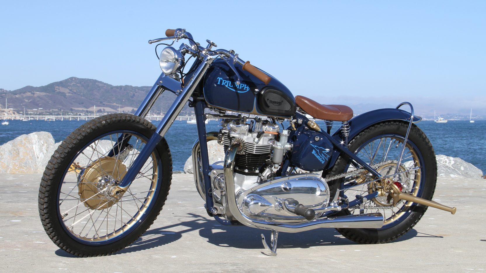 thunderbird bobber