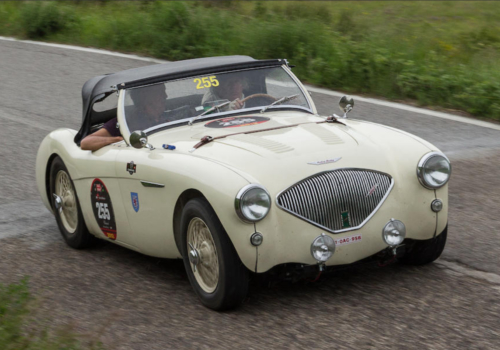 Austin-Healey 100M Le Mans