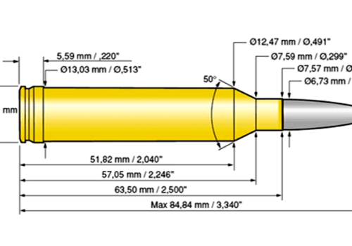 The .264 Winchester Magnum