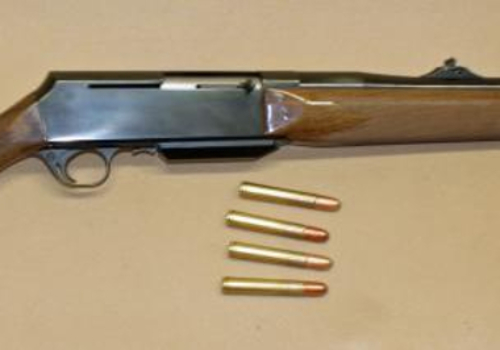 Browning BAR in .416 Taylor or .458 Winchester Magnum