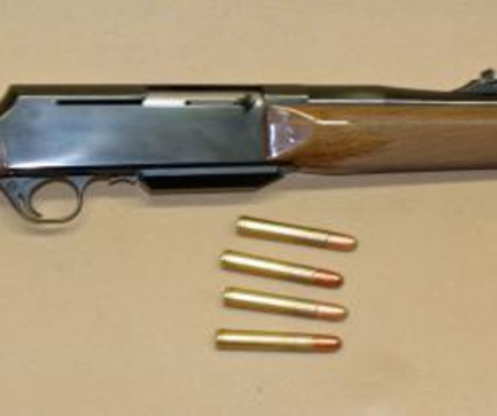 Browning BAR in .416 Taylor or .458 Winchester Magnum
