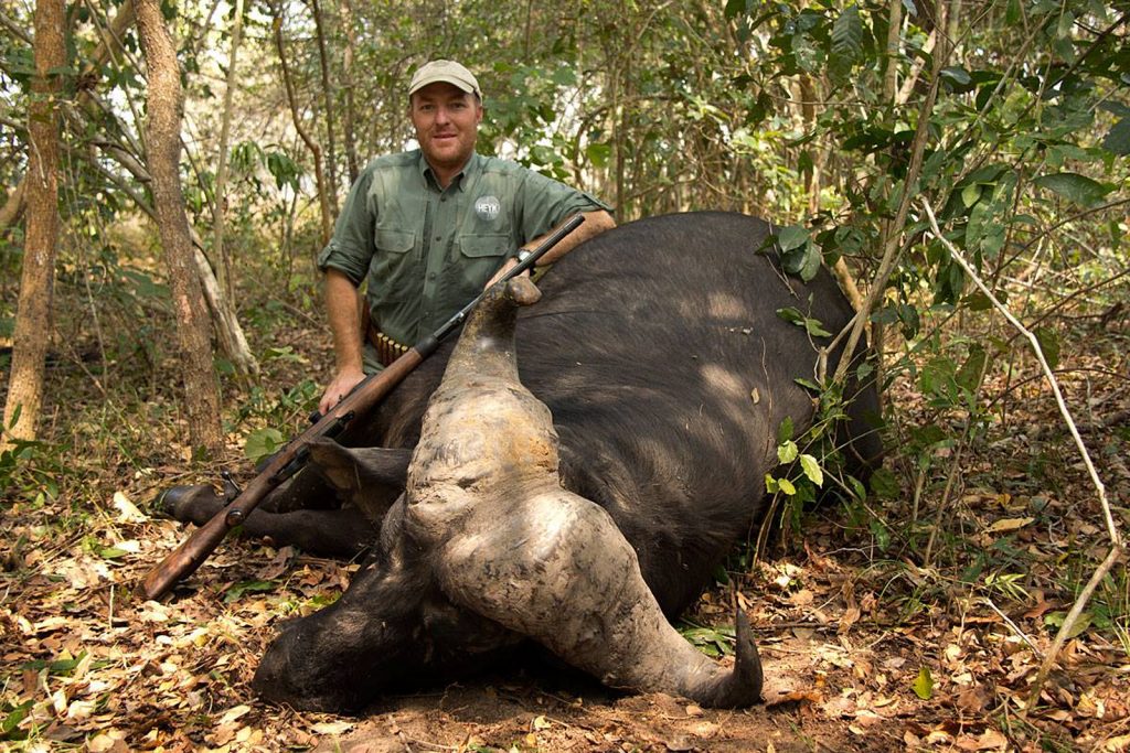 Heym Express rifle safari Cape Buffalo