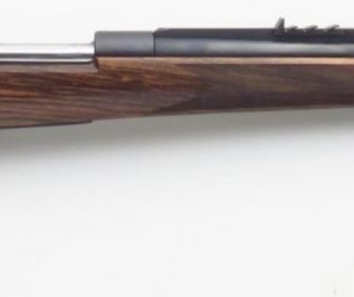 Dale Goens Custom .458 Winchester Magnum