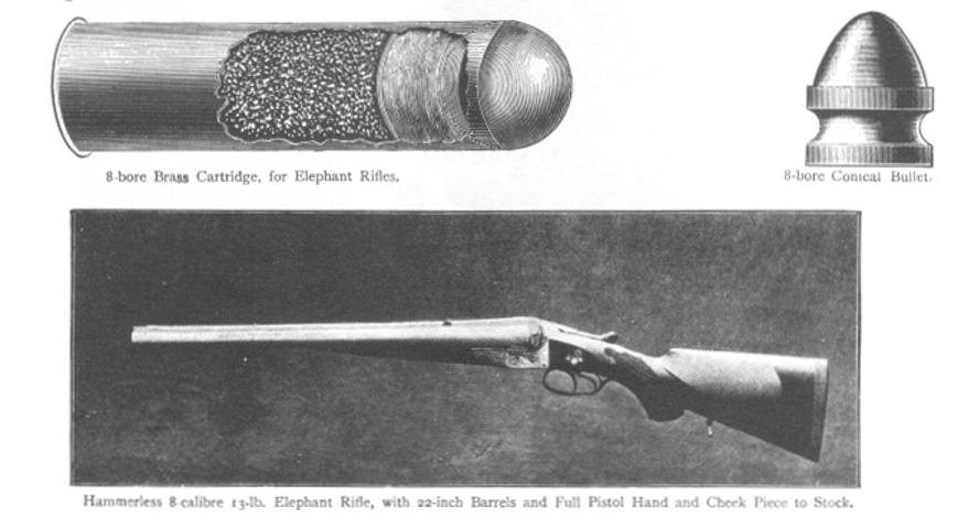 Greener eight bore cartridge and hammerless double rifle