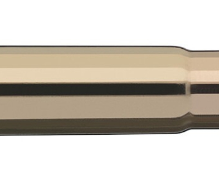 RWS 10.3×68 Magnum