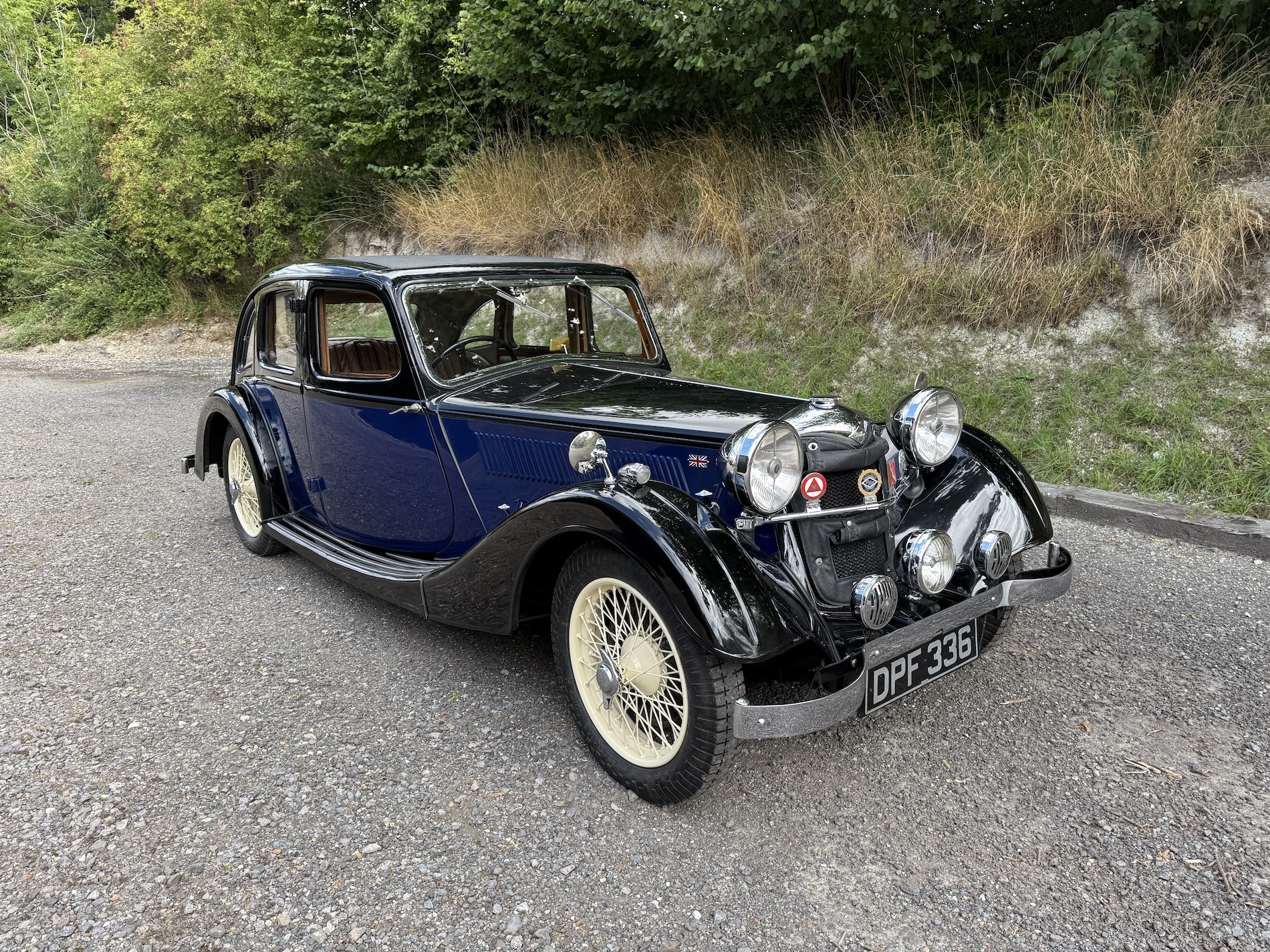 Riley Kestrel