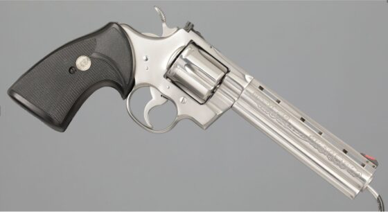 Colt Custom Shop Limited Edition Silver Snake Python Revolver - Revivaler